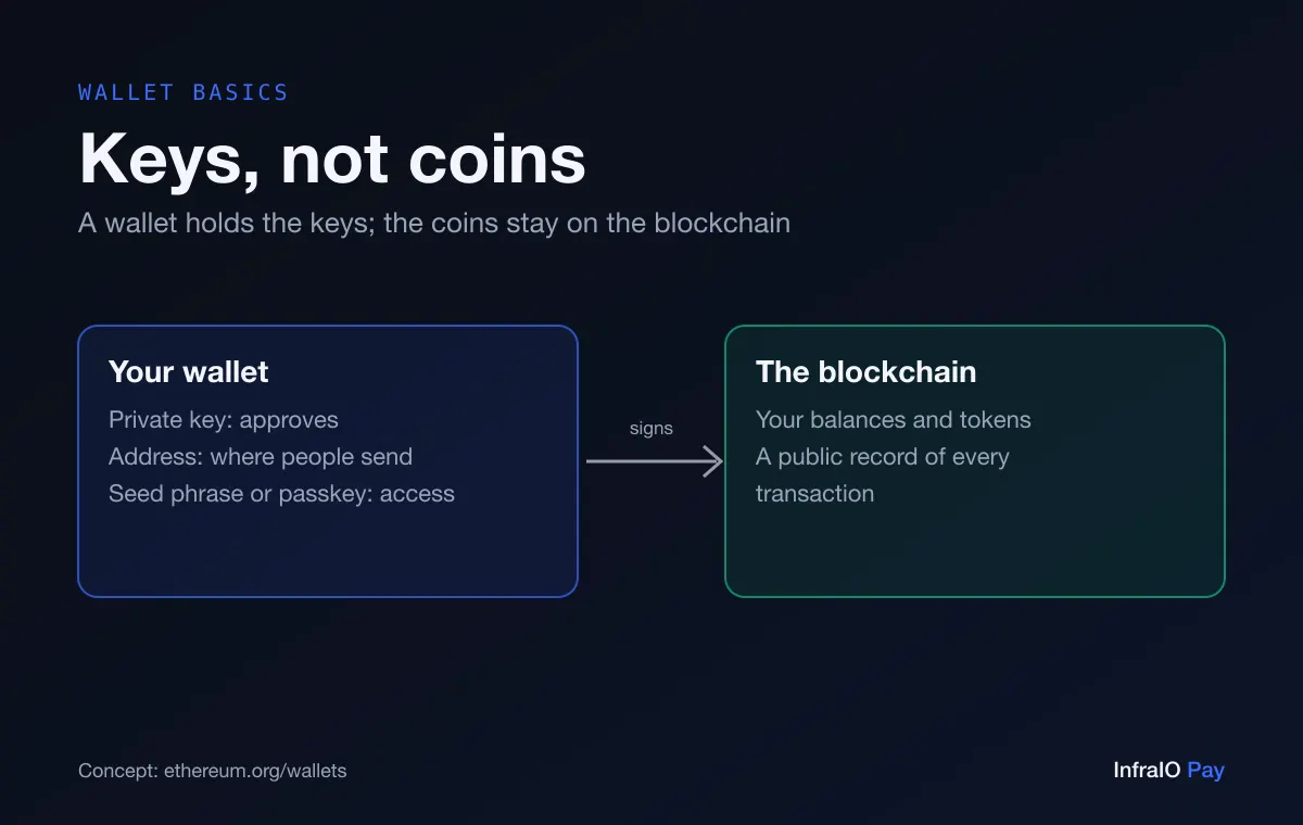 Diagram titled Keys, not coins: your wallet holds the private key, the address and the seed phrase or passkey, while your balances and tokens live on the blockchain, and the wallet signs to move them.